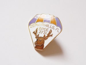 Image of Hot Air Balloon Pin Badge