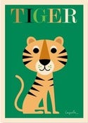 Image of Ingela P Arrhenius<br>Tiger