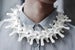 Image of VERTEBRAE