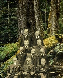 Image of 'Woodcutters Summit' (collage). An original artwork by Omar Zingaro Bhatia.