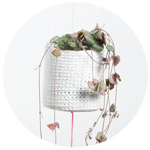 Image of Crochet Planter (white with pompom)