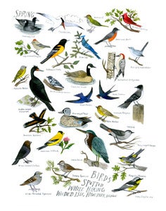 Image of Hyde Park Spring 2012 Birding Limited Edition Archival Inkjet (Giclee) Print