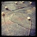 Image of Poppy Pearl Necklace