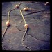 Image of Poppy Pearl Necklace