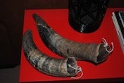 Image of Pair of Steer Horns