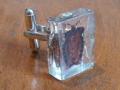 Image of Cuff-links 'Trevor the Shield beetle' (Tessaratomidae)