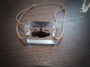 Image of Friendship bracelet featuring 'Andy the beetle' (Anomala)