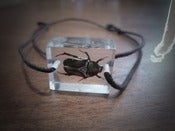 Image of Friendship bracelet featuring 'Anna the beetle' (Anomala)
