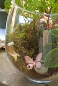 Image of Terrarium Treats