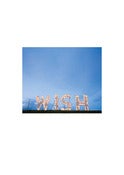 Image of Wish