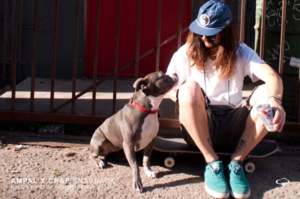 Image of CRAP EYEWEAR x AMPAL Snapback