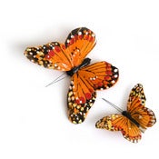 Image of Monarch Butterfly Clips