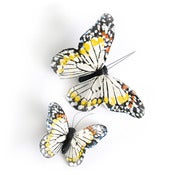 Image of Monarch Butterfly Clips - Ivory