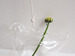Image of Glass Bird Ornament