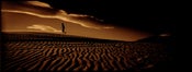 Image of Desert Walk