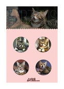 Image of Bubtons