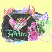 Image of The Hairs - Birds Shit & Then Sing Cassette Single