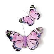 Image of Monarch Butterfly Clips - Pink