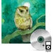 Image of Complete CD Collection (+ digital!)