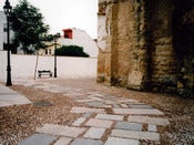 Image of <i>where did you go</i><br>6" x 8" print</br>