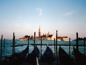 Image of <i>good afternoon</i><br>6" x 8" print</br>