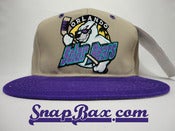 Image of Vintage Deadstock Orlando Solar Bears IHL Snapback Cap Hat