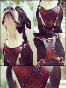 Image of Custom Leather Hand Tooled Dog Harness