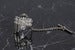Image of Eolian Talent Pipes Tie Tack