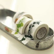 Image of mTape Garden Vine Washi Tape