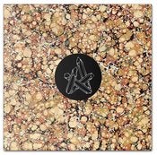 Image of Aster - Danza (Ital remix)  //  HVN014
