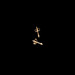 Image of Cuspis Spike Earring
