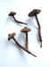 Image of Cast Iron Mushroom Wall Hooks