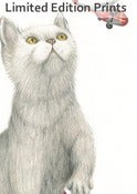 Image of Helicopter Cat - Framed or Unframed Print.