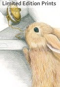 Image of Looking for the White Rabbit - Framed or Unframed Print.
