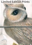 Image of Owl's Secret - Framed or Unframed Print.