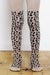 Image of popupshop | leopard print tights