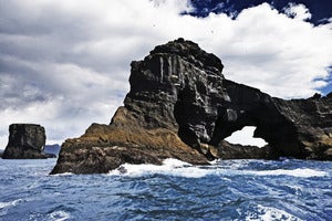 Image of Dyrhólaey - Iceland
