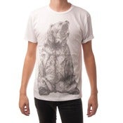 Image of SS12 BEAR