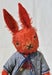 Image of WILLIAM the RABBIT