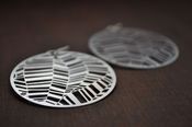 Image of Zebra Earrings