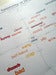 Image of Taxonomy of Ideas