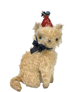 Image of ELEANOR the CAT