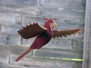 Image of JCR BIRDS : CARDINAL