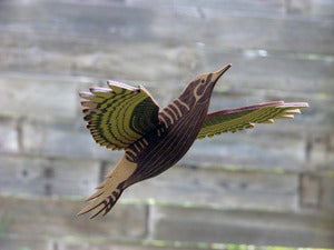 Image of JCR BIRDS : WOODPECKER