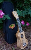 Image of Kala Solid Spruce/Flame Maple Pocket Uke Bstock