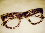 Image of Stylish Retro Leopard Glasses