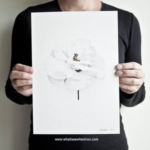 Image of Not Guilty - Hibiscus Mutabilis