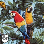Image of Tshirt Perroquets