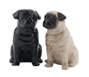 Image of PUG SALT AND PEPPER SET