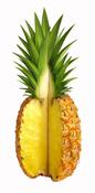 Image of Pineapple Clove Culinary Syrup